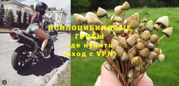 стаф Богородицк