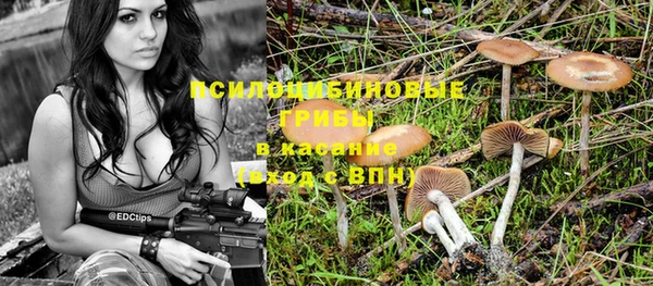 MESCALINE Богородск