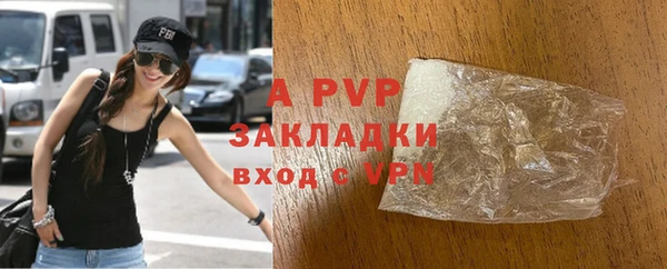 стаф Богородицк