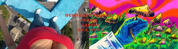 кокаин колумбия Богданович